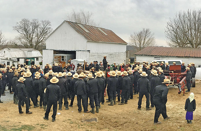 Farm auction in Lancaster County, PA